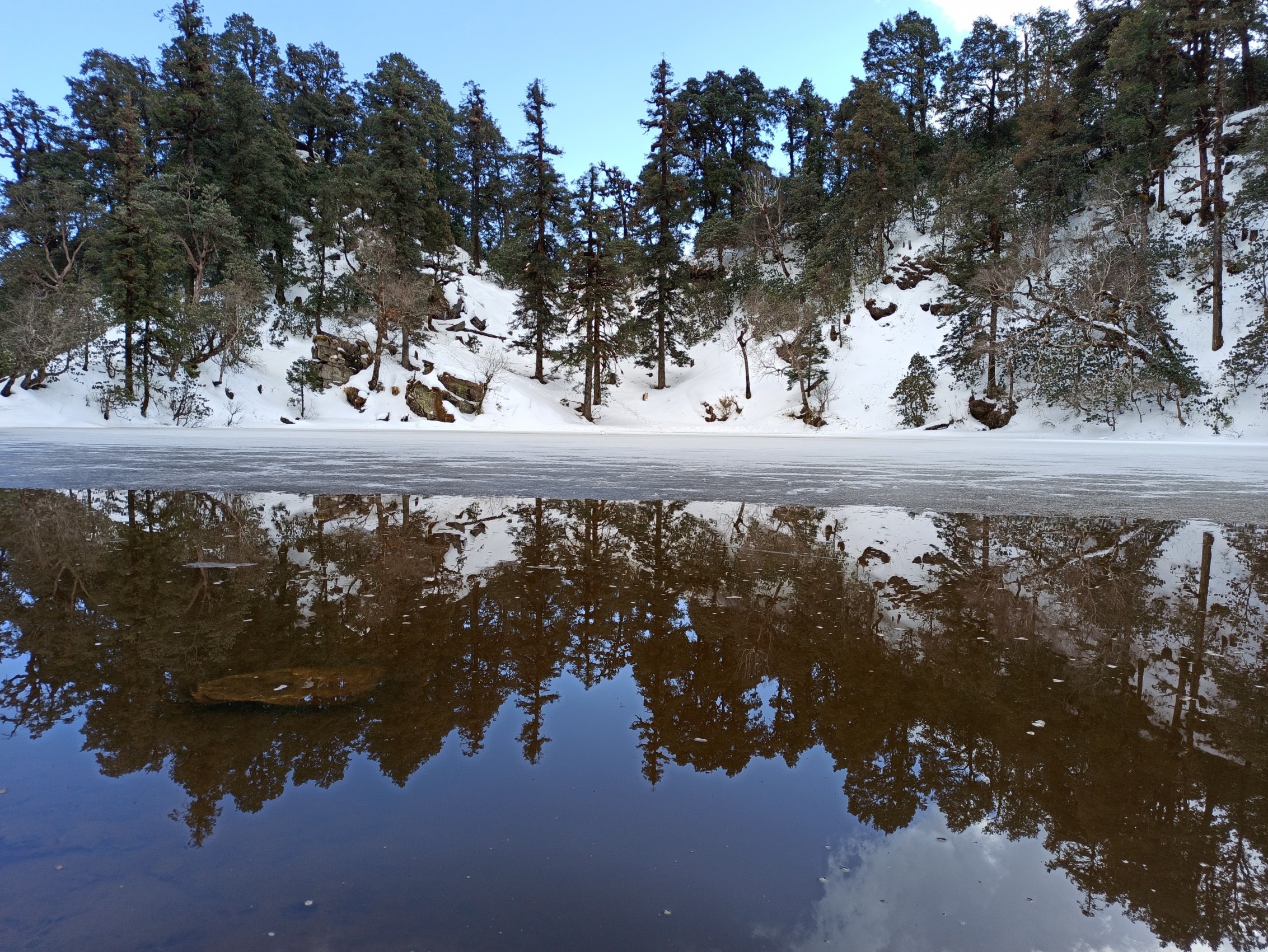 Discover the Serenity of the Brahmatal Trek: A Himalayan Haven